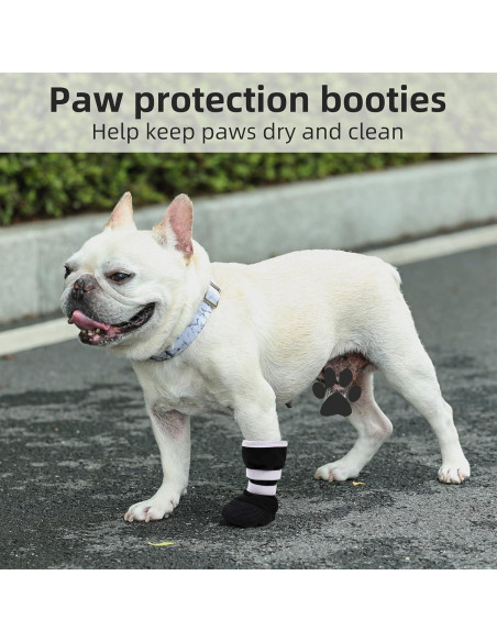 Bota de Recuperación para Perros ETIAL XL Antideslizante