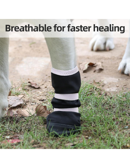 Bota de Recuperación para Perros ETIAL XL Antideslizante