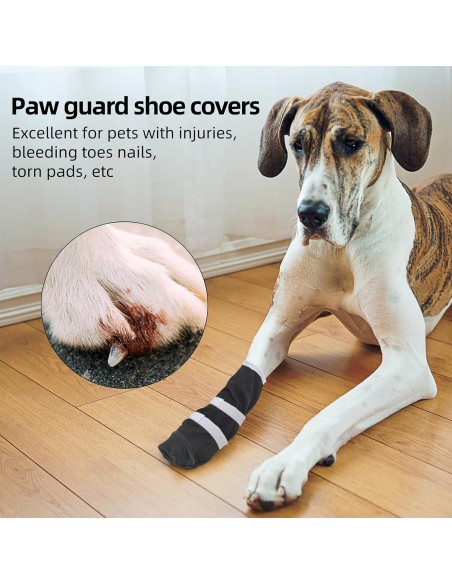 Bota de Recuperación para Perros ETIAL XL Antideslizante