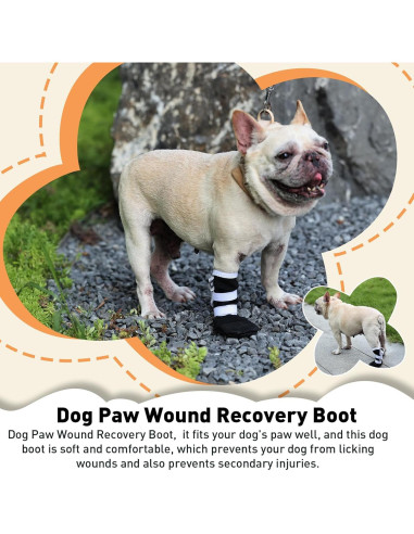 Bota de Recuperación para Perros ETIAL XL Antideslizante