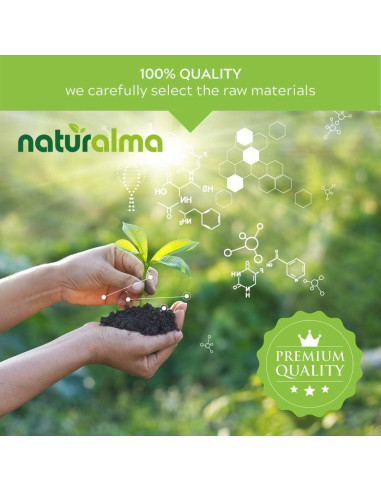 Tinte de corteza de sauce blanco Naturalma 120 ml - Suplemento herbal