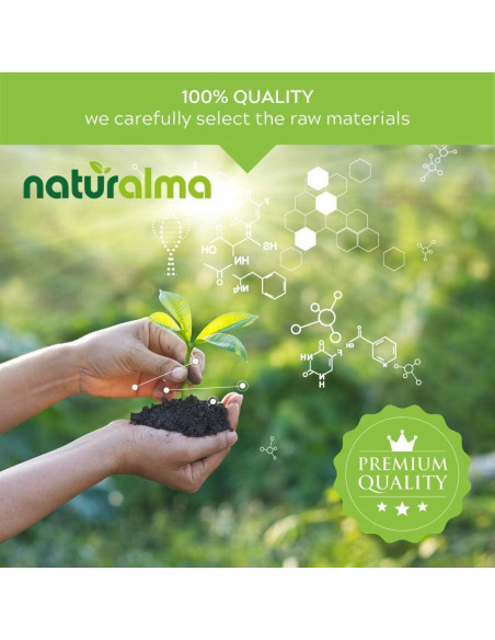 Tinte de corteza de sauce blanco Naturalma 120 ml - Suplemento herbal