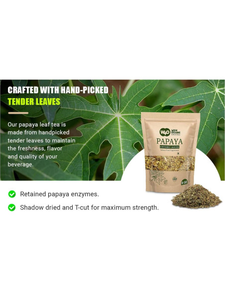 Té de Hoja de Papaya 227 Gr - Way4Organic, Hojas Secas Sueltas