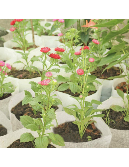 200 Bolsas de Vivero Tarklanda 14x16 cm Biodegradables