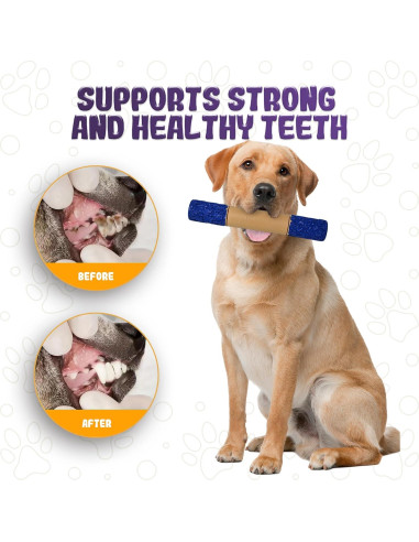 Juguete Indestructible para Perros LeeBonBon ST-45 25cm