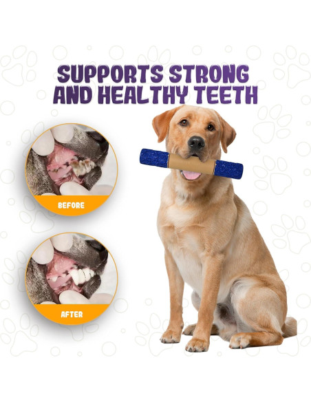 Juguete Indestructible para Perros LeeBonBon ST-45 25cm Juguete Indestructible para Perros LeeBonBon ST-45 25cm