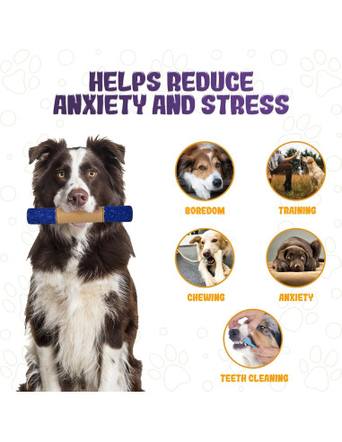 Juguete Indestructible para Perros LeeBonBon ST-45 25cm