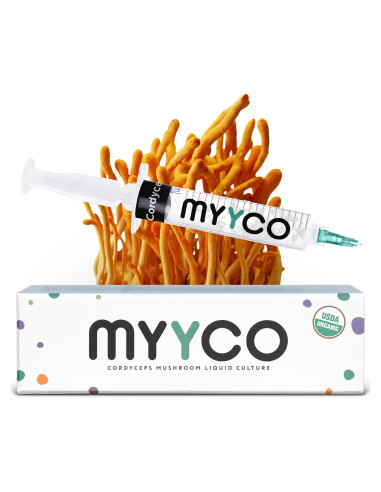 Cultivo Líquido de Cordyceps Orgánico MYYCO - Crecimiento Rápido