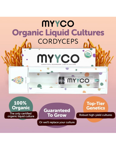 Cultivo Líquido de Cordyceps Orgánico MYYCO - Crecimiento Rápido