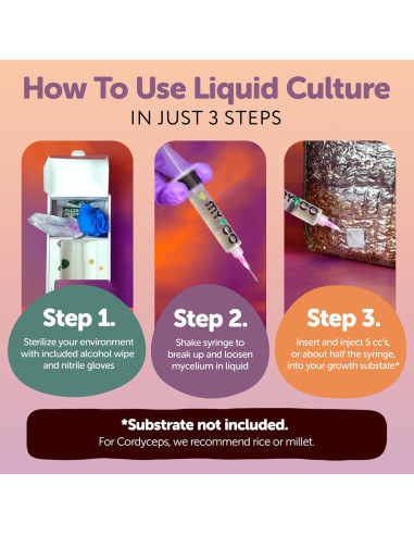 Cultivo Líquido de Cordyceps Orgánico MYYCO - Crecimiento Rápido