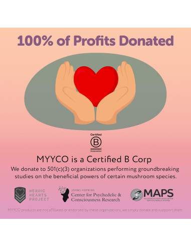 Cultivo Líquido de Cordyceps Orgánico MYYCO - Crecimiento Rápido