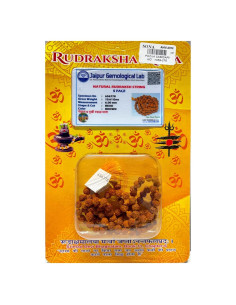 Mala de Rudraksha 5 Mukhi SHIVOHAM 108+1 cuentas 86.36 cm
