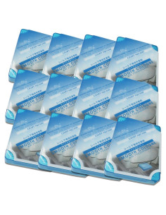 Ambientador Natural Auto Dynasty TreeFrog 12 Piezas Aroma Calabaza