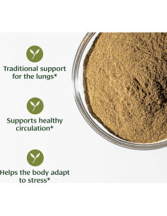 Polvo de Tulsi Orgánico Banyan Botanicals 230g - Albahaca Sagrada 2