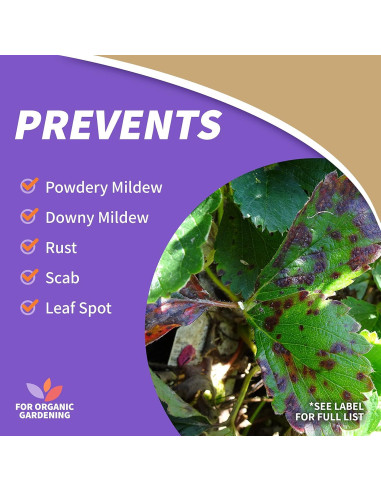 Aceite de Neem Bonide 473 ml - Insecticida y Fungicida Multiusos