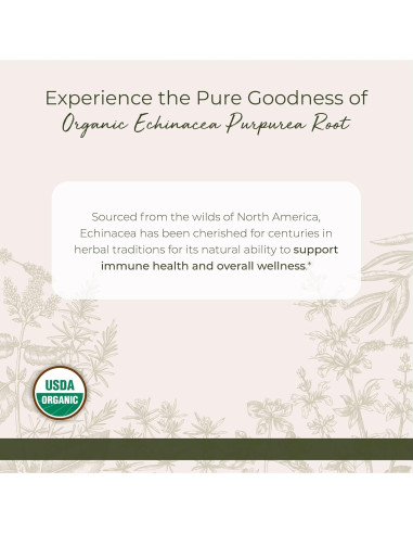 Polvo de raíz de Echinacea Purpurea Orgánica Starwest 113 g