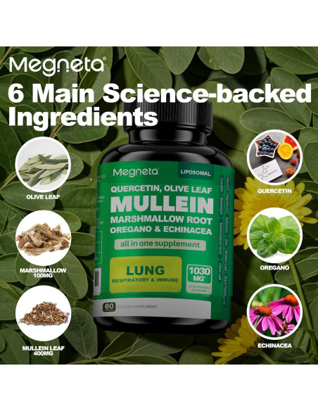Cápsulas de Salud Pulmonar Megneta - 60 Unidades Cápsulas de Salud Pulmonar Megneta - 60 Unidades