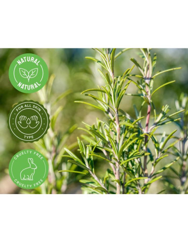 Aceite Esencial de Romero GreenHealth 236 ml - 100% Puro