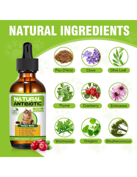 Antibiótico Natural para Gatos RUAKPL - Soporte Inmunológico