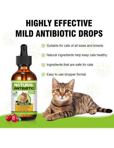 Antibiótico Natural para Gatos RUAKPL - Soporte Inmunológico