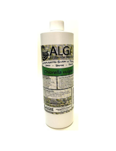 Cultivo de Algas Chlorella Vulgaris 500ml - Algae Research Supply