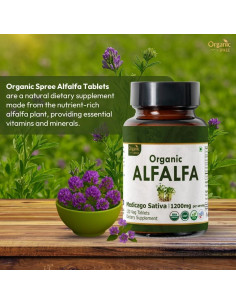 Tabletas de Alfalfa Orgánica 120 unidades - Organic Spree 2