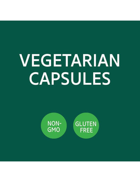 Extracto de Ginkgo Biloba Siglo 21 - 60 Cápsulas Veganas Extracto de Ginkgo Biloba Siglo 21 - 60 Cápsulas Veganas