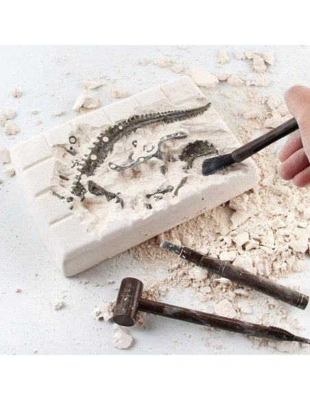 Kit Educativo Excavación Dinosaurio Stegosaurus 3D - Liberty Imports Kit Educativo Excavación Dinosaurio Stegosaurus 3D - Liberty Imports