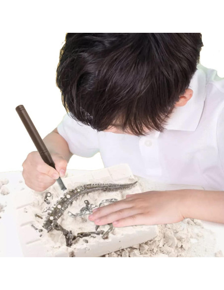 Kit Educativo Excavación Dinosaurio Stegosaurus 3D - Liberty Imports Kit Educativo Excavación Dinosaurio Stegosaurus 3D - Liberty Imports