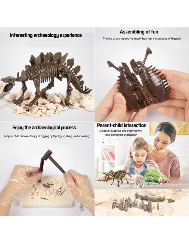 Kit Educativo Excavación Dinosaurio Stegosaurus 3D - Liberty Imports