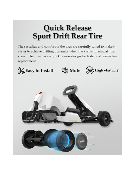 2 Neumáticos 10x2.75 Felixstory para Gokart S MAX y PRO