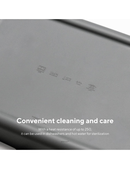 Bandeja de silicona Teranuvo para BALMUDA The Toaster Gris