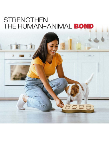 Juguete rompecabezas Seek-A-Treat de SPOT para perros