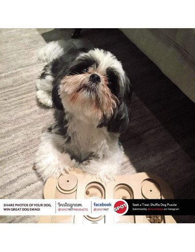 Juguete rompecabezas Seek-A-Treat de SPOT para perros