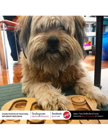 Juguete rompecabezas Seek-A-Treat de SPOT para perros