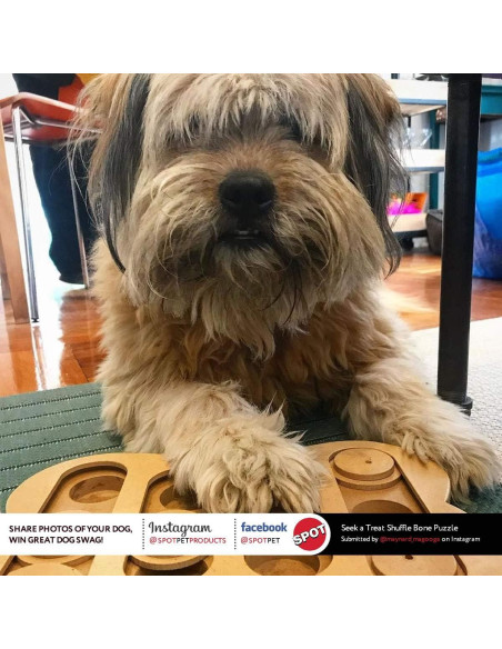 Juguete rompecabezas Seek-A-Treat de SPOT para perros