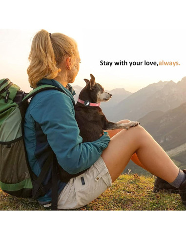 Soporte para Collar de Airtag SimpleThings, Silicona 2 Pzs