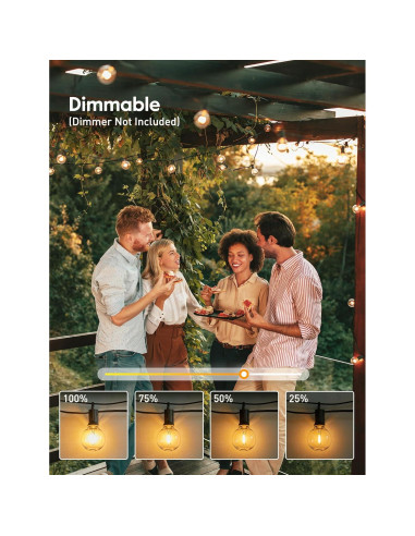 Luces de Cadena LED Brightown 25 pies Negro 12 Bombillas