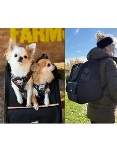 Transportadora Mochila Pecute para Gatos y Perros Pequeños 2