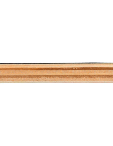 Patineta Amrgot 31x10 cm para Principiantes Dragón