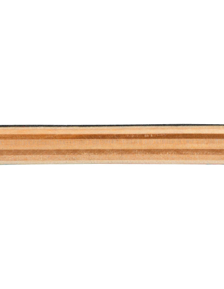 Patineta Amrgot 31x10 cm para Principiantes Dragón