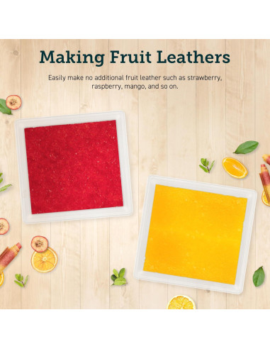 Hojas para Rollos de Frutas COSORI 2 Piezas Sin BPA