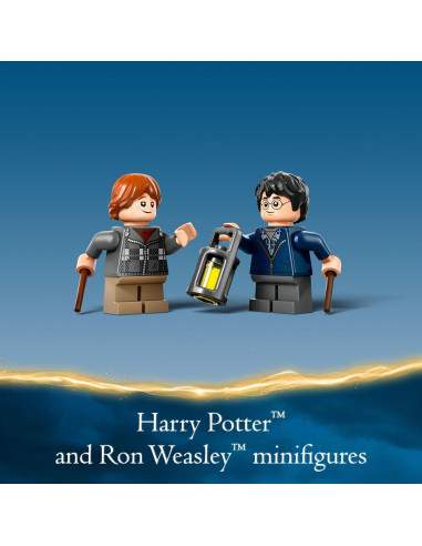 LEGO Harry Potter Aragog en el Bosque Prohibido 76434