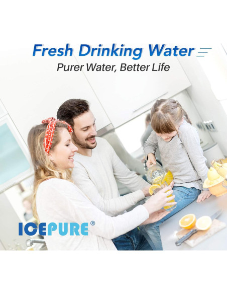 Filtro de Agua ICEPURE CTO10 4 Unidades 10" x 2.5" Carbono