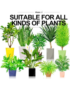 Regadera WhaleLife 2L Gris para Plantas de Interior 2