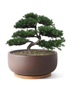 Maceta de Terracota SQOWL 20 cm Redonda con Drenaje