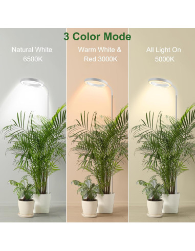 Luz de Crecimiento Wolezek 80 LEDs Espectro Completo 165 cm