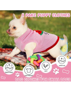 Conjunto 4 Ropa para Perros Friofmuy Rosa X-Small 2