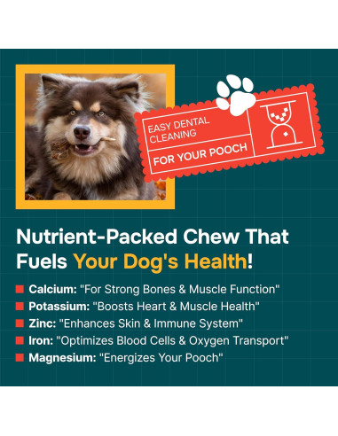 Astas de Alce para Perros REXIPETS - Pequeñas y Naturales