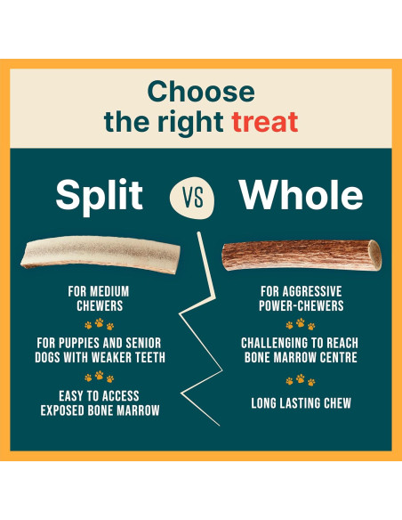 Astas de Alce para Perros REXIPETS - Pequeñas y Naturales